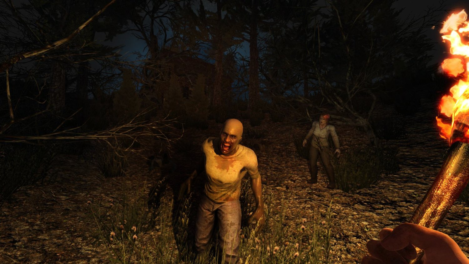 7 days to die